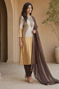 Champagne gold Noor tissue silk suit set with brown embroidery — back view, RITAURA