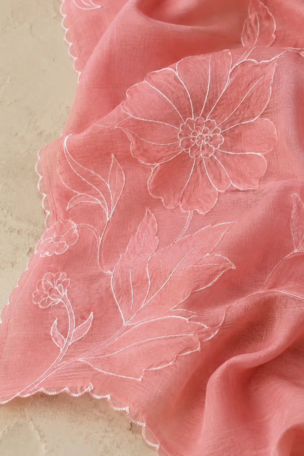 Coral blossom Noor appliqué Banarasi suit set with layered detail — back view, RITAURA