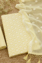Lemon Mist Resham Chanderi Banarasi Set