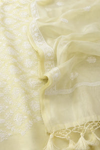 Lemon mist resham chanderi Banarasi suit set with zari motifs — back view, RITAURA