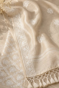 Resham chanderi Banarasi suit set with woven motifs — back view, RITAURA