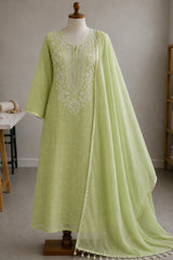 Pista Noor Chikankari Mal Chanderi Set