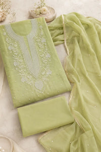 Pistachio Noor Chikankari mal chanderi suit set with hand embroidery — back view, RITAURA