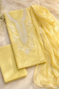 Lemon Noor Chikankari mal chanderi suit set with hand embroidery — back view, RITAURA